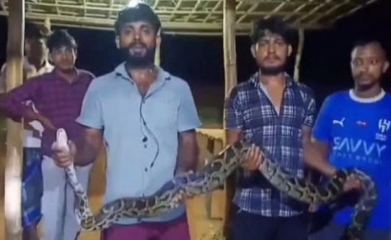 Massive Python Sighting in Dhaja Nagar, Bishalgarh Massive Python Sighting in Dhaja Nagar, Bishalgarh